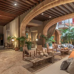 Cera (adults Only) Palma
